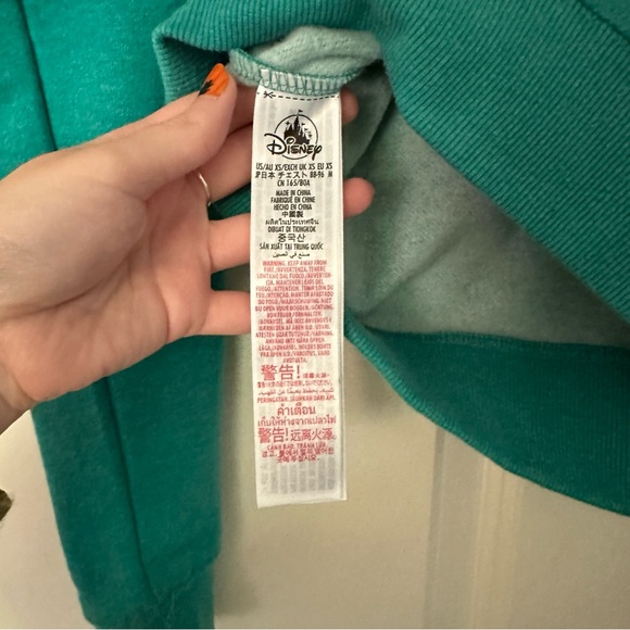 Women’s Disneyland Resort Fuzzy Logo Crewneck Sweatshirt - Teal - Picture 4 of 5